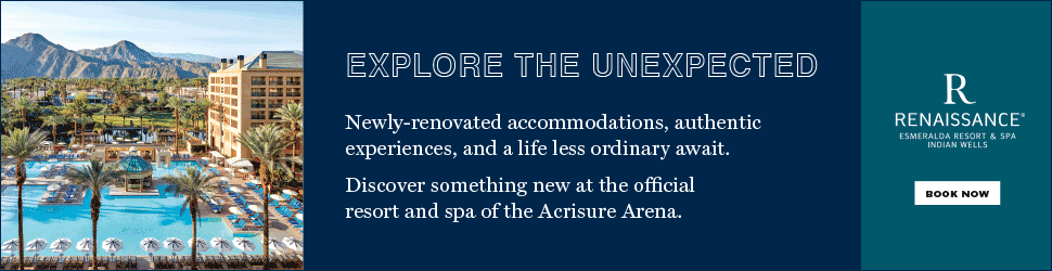 Renaissance Banner Ad