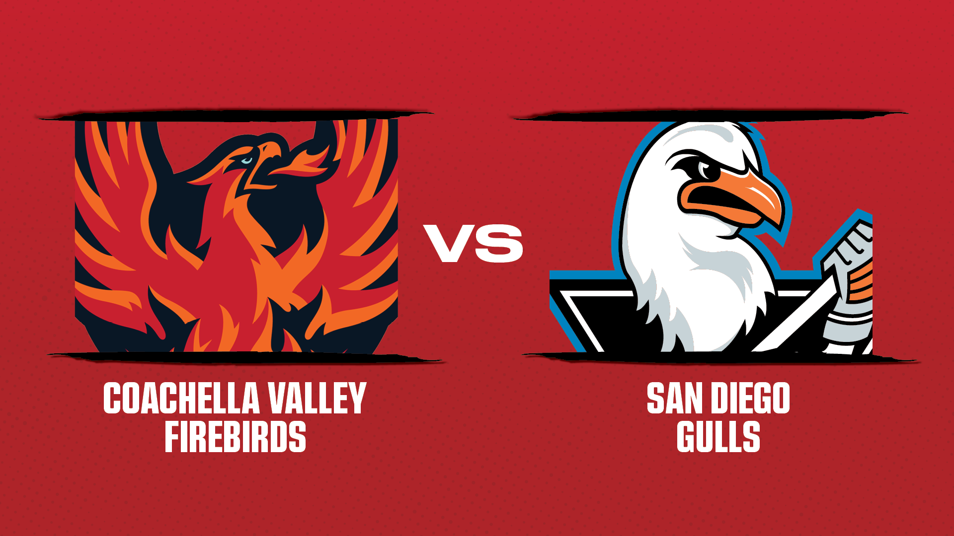 The Coachella Valley Firebirds go against the San Diego Gulls