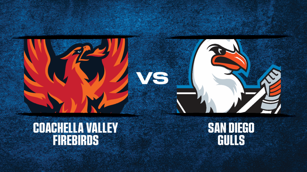 CV Firebirds vs. San Diego Gulls 