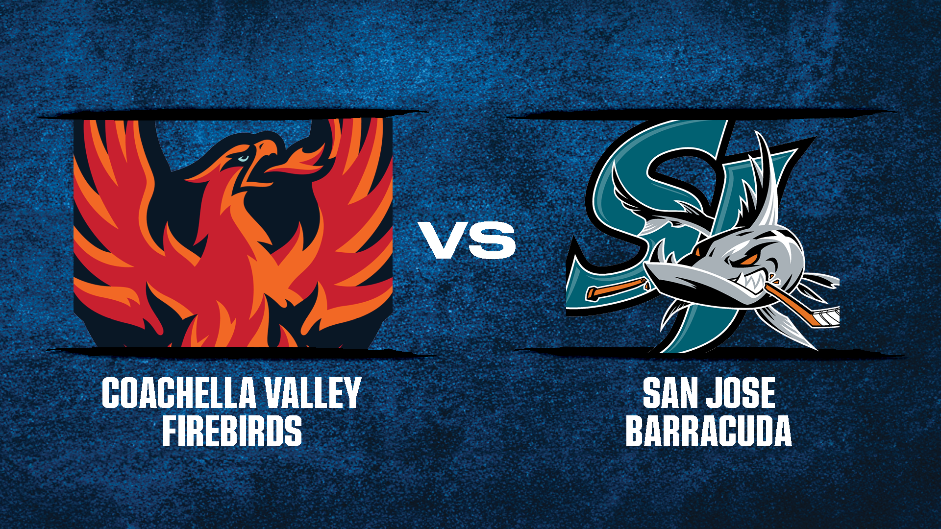 CV Firebirds vs. San Jose Barracuda