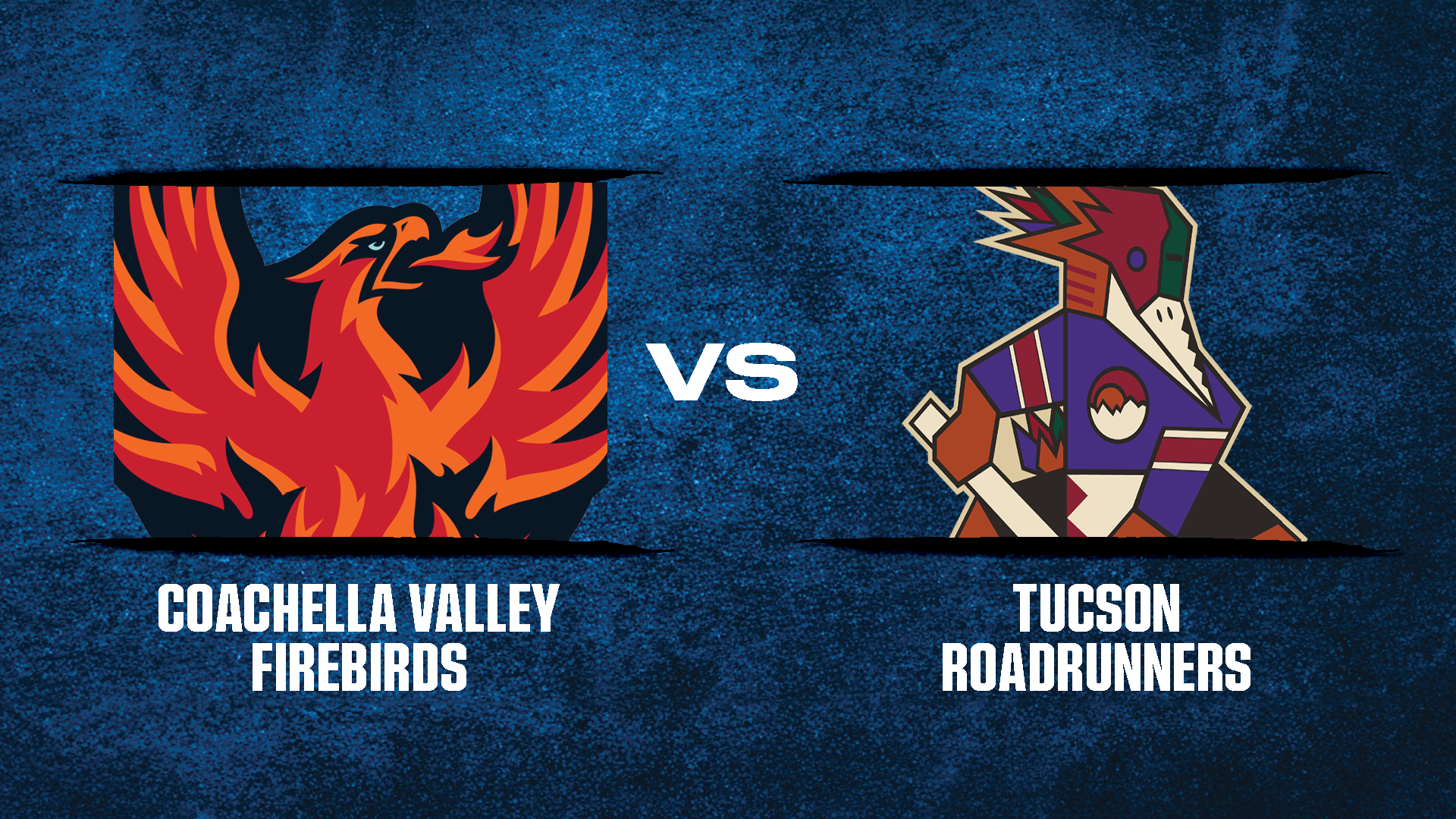 CV Firebirds vs. Tucson Roadrunners