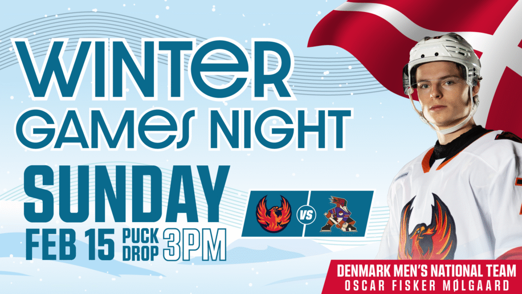 CV Firebirds vs. Tucson Roadrunners 